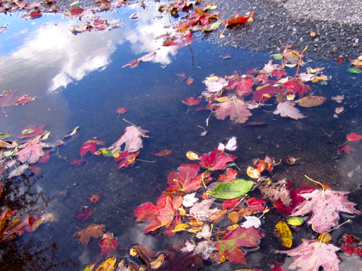 Fall in a Puddle